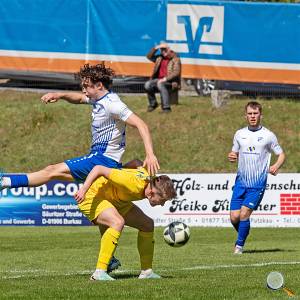 Foto: Bodo Hering / BFV 08